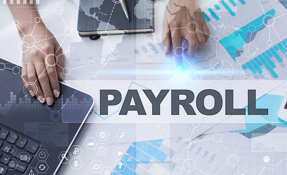 Payroll Manager Bundle